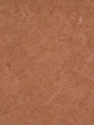 waml003-121b DLW Marmorette Neocare  Linoleum dark brown,...