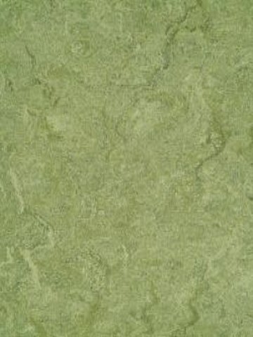 waml100-121b DLW Marmorette Neocare Linoleum frog green,...