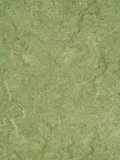 waml100-121b DLW Marmorette Neocare Linoleum frog green,...