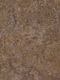 wmt3425b Forbo Marmoleum Modular Linoleum Autumn leaf...