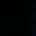 Gerflor Taraflex Sportboden Schwarz M Evolution elastisch...