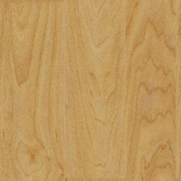 Gerflor Taraflex Sportboden Ahorn Design Braun M...