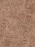 Gerflor Taralay CV-Belag Camel Treppenboden Initial...