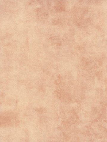 Gerflor Taralay CV-Belag Chanvre Treppenboden Initial...