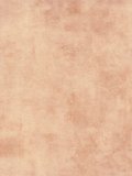 Gerflor Taralay CV-Belag Chanvre Treppenboden Initial...