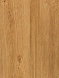 Amtico First Vinyl Designbelag English Oak Wood...