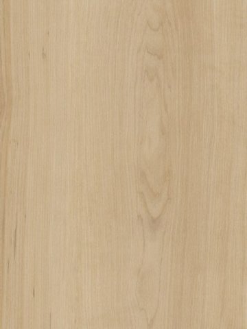 Muster: m-wSS5W2502 Amtico Spacia Vinyl Designbelag Wood zum Verkleben, Kanten gefast Warm Maple