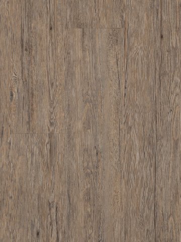 Muster: m-wA2854-03 Adramaq Old Wood Vinyl Designbelag rustikales Holzdekor, synchrongeprgt Esche rustikal grau