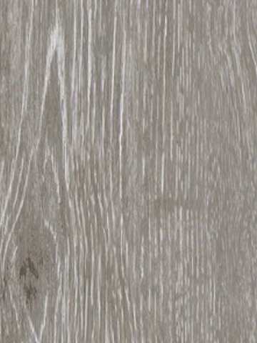 Muster: m-wka3037 Karndean Conceptline Vinyl Designbelag Planken zum Verkleben Limed Oak, greyish