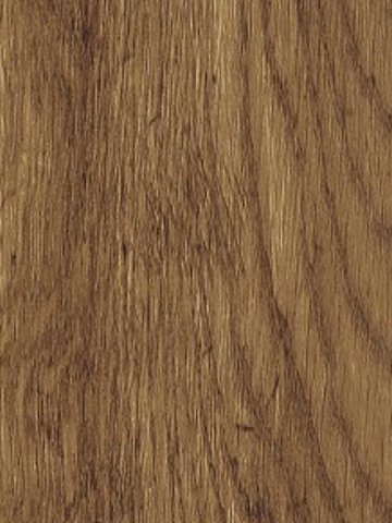 Muster: m-wka3046 Karndean Conceptline Vinyl Designbelag Planken zum Verkleben Rustic Oak gold