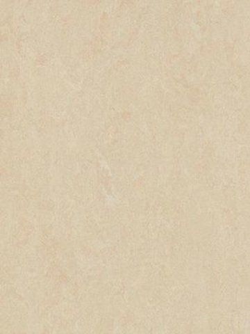wmf3861-2,5 Forbo Marmoleum Fresco Arabian pearl Linoleum Naturboden