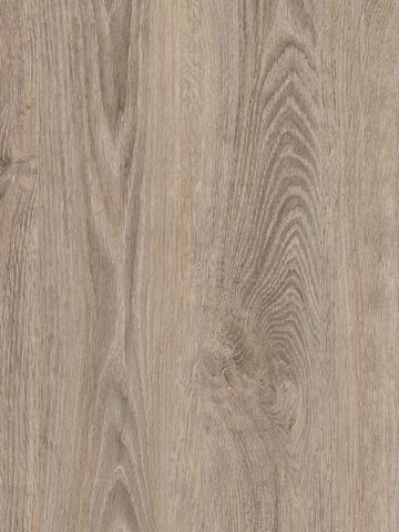 Muster: m-wCPW4010-30 Project Floors Click Collection...