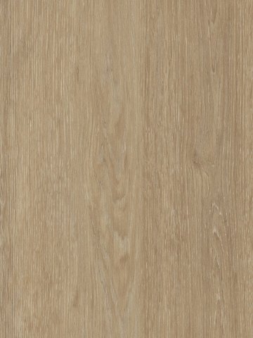 Amtico Spacia Vinyl Designbelag Limed Wood Natural Wood zum Verkleben, Kanten gefast wSS5W2549