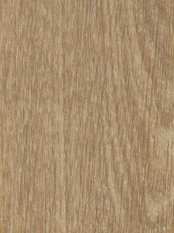 Forbo Allura 0.55 natural giant oak Commercial Designbelag Wood zum verkleben wfa-w60284-055