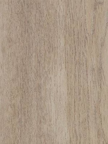 Muster: m-wfa-w60350-055 Forbo Allura 0.55 Commercial Designbelag Wood zum verkleben white autumn oak