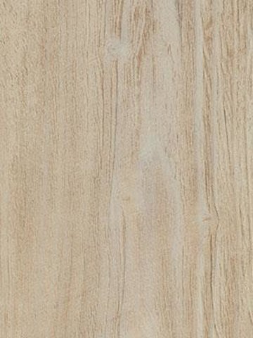 Forbo Allura 0.55 bleached rustic pine Commercial Designbelag Wood zum verkleben wfa-w60084-055