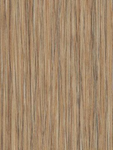 Forbo Allura 0.55 natural seagrass Commercial Designbelag Wood zum verkleben wfa-w61255-055