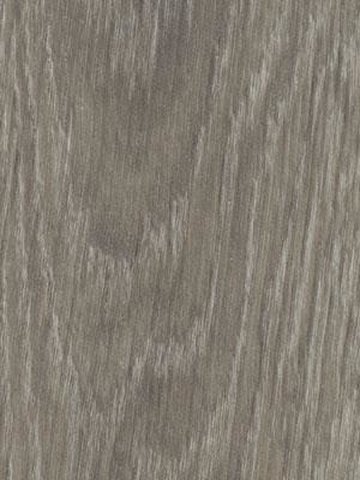 Forbo Allura 0.70 grey giant oak Premium Designbelag Wood zum verkleben wfa-w60280-070