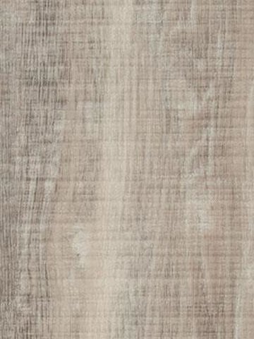 Forbo Allura 0.70 white raw timber Premium Designbelag Wood zum verkleben wfa-w60151-070