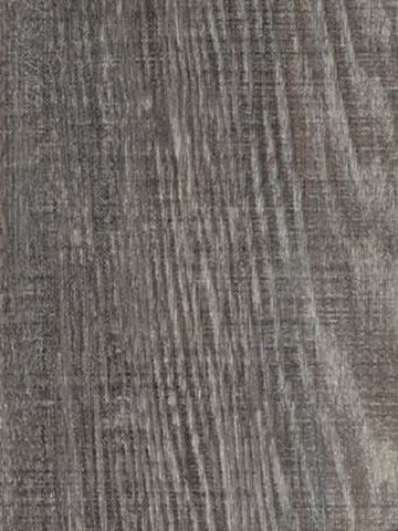 Forbo Allura 0.70 grey raw timber Premium Designbelag Wood zum verkleben wfa-w60152-070