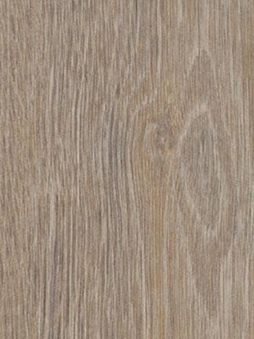 Forbo Allura 0.70 steamed oak Premium Designbelag Wood...