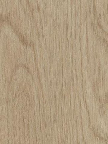 Forbo Allura 0.70 white wash elegant oak Premium Designbelag Wood zum verkleben wfa-w60064-070