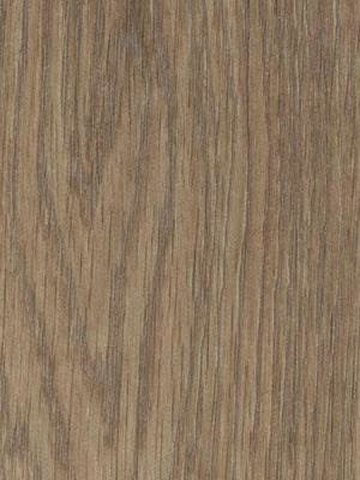 Forbo Allura 0.40 natural collage oak Domestic Designbelag Wood zum Verkleben wfa-w66374-040