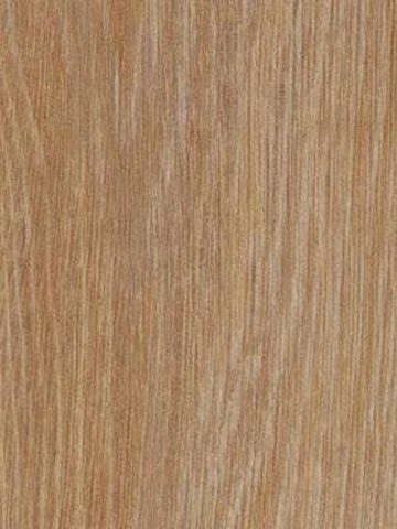 Forbo Allura 0.40 pure oak Domestic Designbelag Wood zum Verkleben wfa-w66295-040