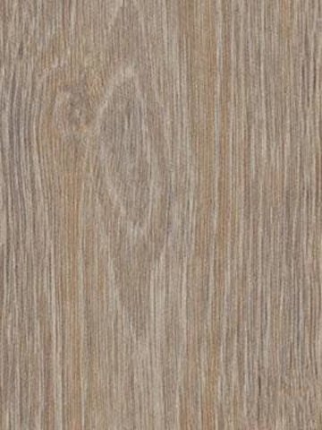 Forbo Allura 0.40 steamed oak Domestic Designbelag Wood zum Verkleben wfa-w66293-040