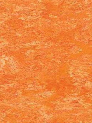 Muster: m-wpro-fl538 Profilor Linoleum Naturboden 538 Orange