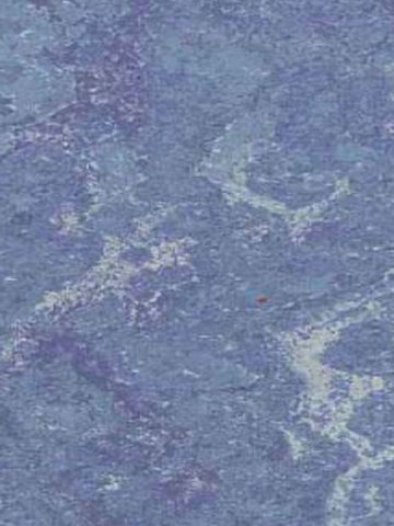 Muster: m-wpro-fl805 Profilor Linoleum Naturboden 805 Blau