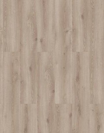 Muster: m-wti-24265110-55 Tarkett iD Inspiration 55 Click Vinyl Designbelag Wood zum Klicken Contemporary Oak Grege