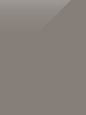 wmug1240 Profilor Messe Hochglanz unicolor CV-Belag Grau...