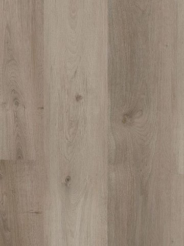 Muster: m-wMLD00106-400w Wineo 400 Wood Click Multi-Layer Designbelag zum Klicken Grace Oak Smooth