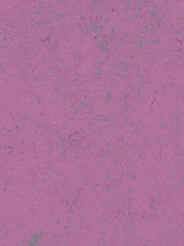 wfwco3740 Forbo Linoleum Uni purple glow Marmoleum Concrete AUSLAUFARTIKEL