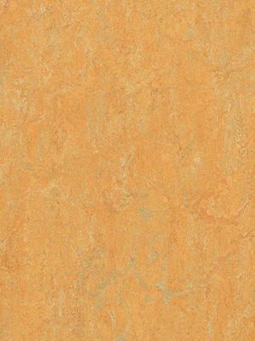 Muster: m-wmr3847-2,5 Forbo Marmoleum Real Linoleum Naturboden golden saffron