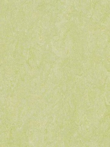 wmr3881-2,5 Forbo Marmoleum Real green wellness Linoleum Naturboden