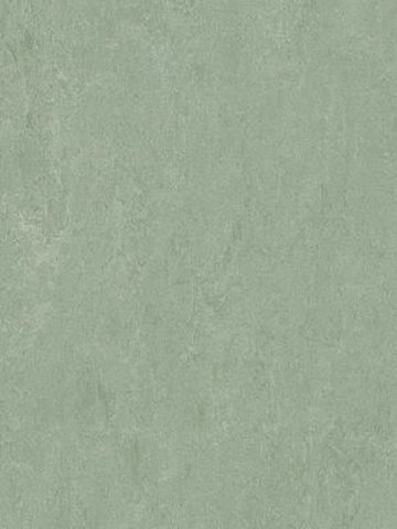 wmf3891-2,5 Forbo Marmoleum Fresco sage Linoleum Naturboden