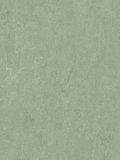wmf3891-2,5 Forbo Marmoleum Fresco sage Linoleum Naturboden