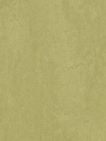 wmf3265-2,5 Forbo Marmoleum Fresco avocado Linoleum Naturboden