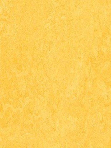 wmf3251-2,5 Forbo Marmoleum Fresco lemon zest Linoleum Naturboden