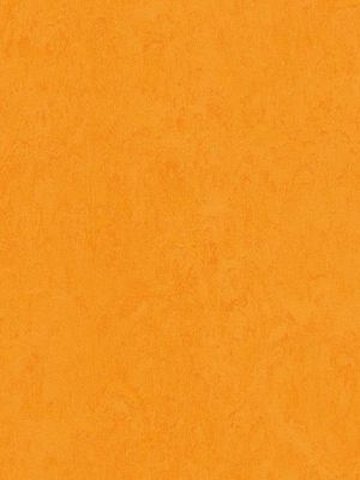 wmf3262-2,5 Forbo Marmoleum Fresco marigold Linoleum Naturboden