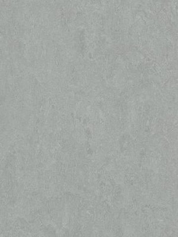 wmf3889-2,5 Forbo Marmoleum Fresco cinder Linoleum Naturboden