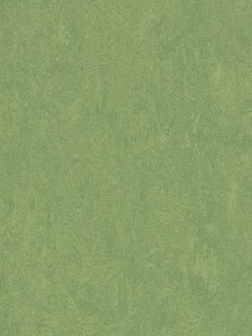 Muster: m-wmf3260-2,5 Forbo Marmoleum Fresco Linoleum Naturboden leaf