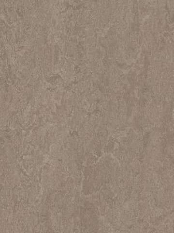 Muster: m-wmf3246-2,5 Forbo Marmoleum Fresco Linoleum Naturboden shrike