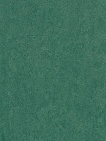 Muster: m-wmf3271-2,5 Forbo Marmoleum Fresco Linoleum Naturboden hunter green