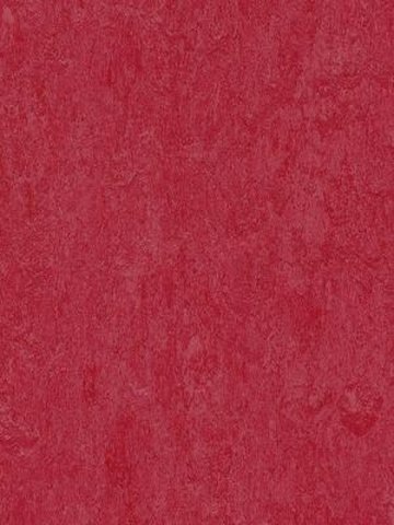 Muster: m-wmf3273-2,5 Forbo Marmoleum Fresco Linoleum Naturboden ruby