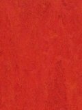 wmf3131-2,5 Forbo Marmoleum Fresco scarlet Linoleum...