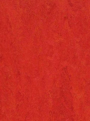 Muster: m-wmf3131-2,5 Forbo Marmoleum Fresco Linoleum Naturboden scarlet