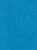 wmf3264-2,5 Forbo Marmoleum Fresco greek blue Linoleum...